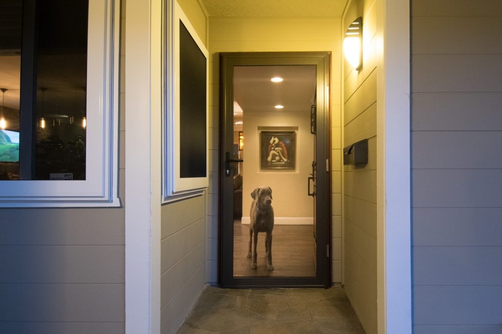 glass door with dog on inside