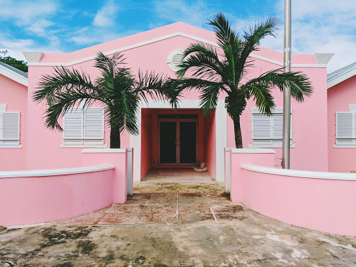 two plam trees in front of bright pink building