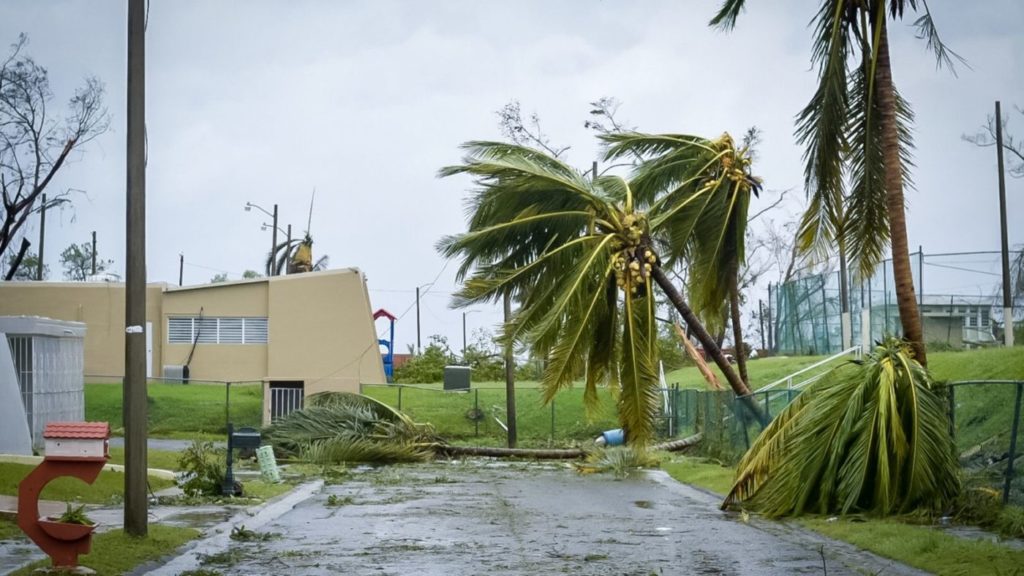 outdoor hurricane damage