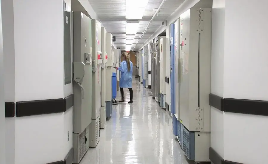 glass hospital windows and doors need human impact resistant security glazing2