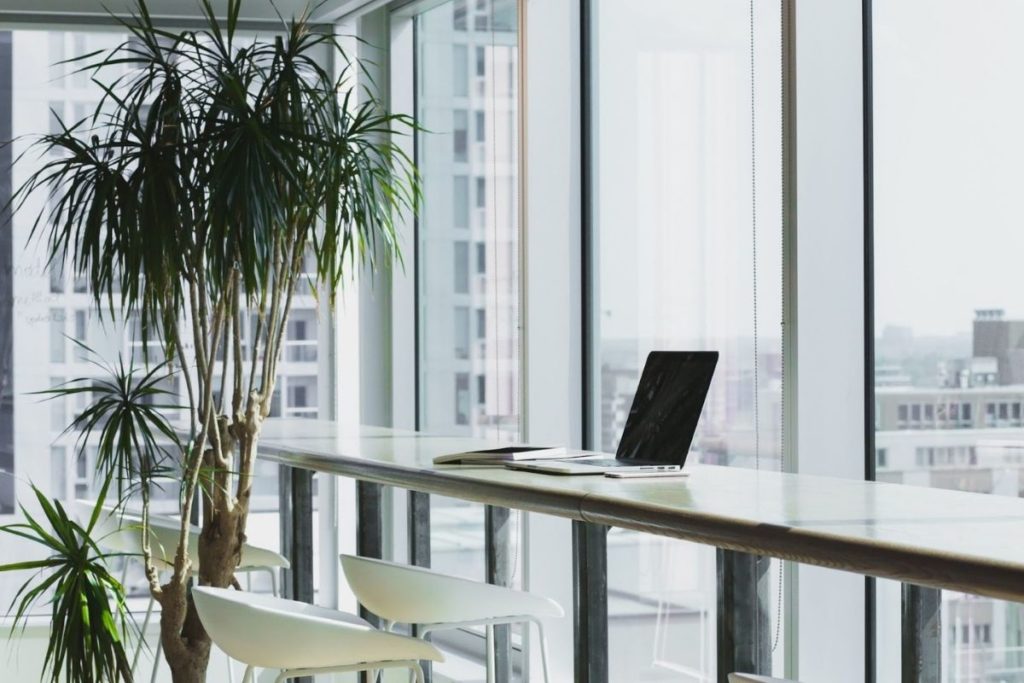 double pane windows looking outside. laptop on desk with chairs and big plant