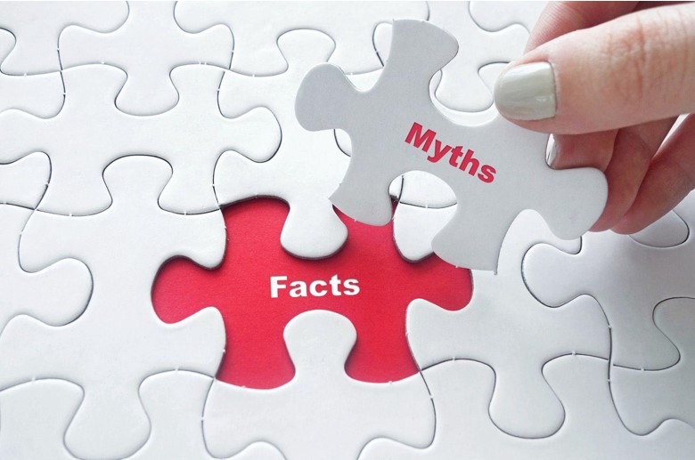 facts-and-myths puzzle pieces