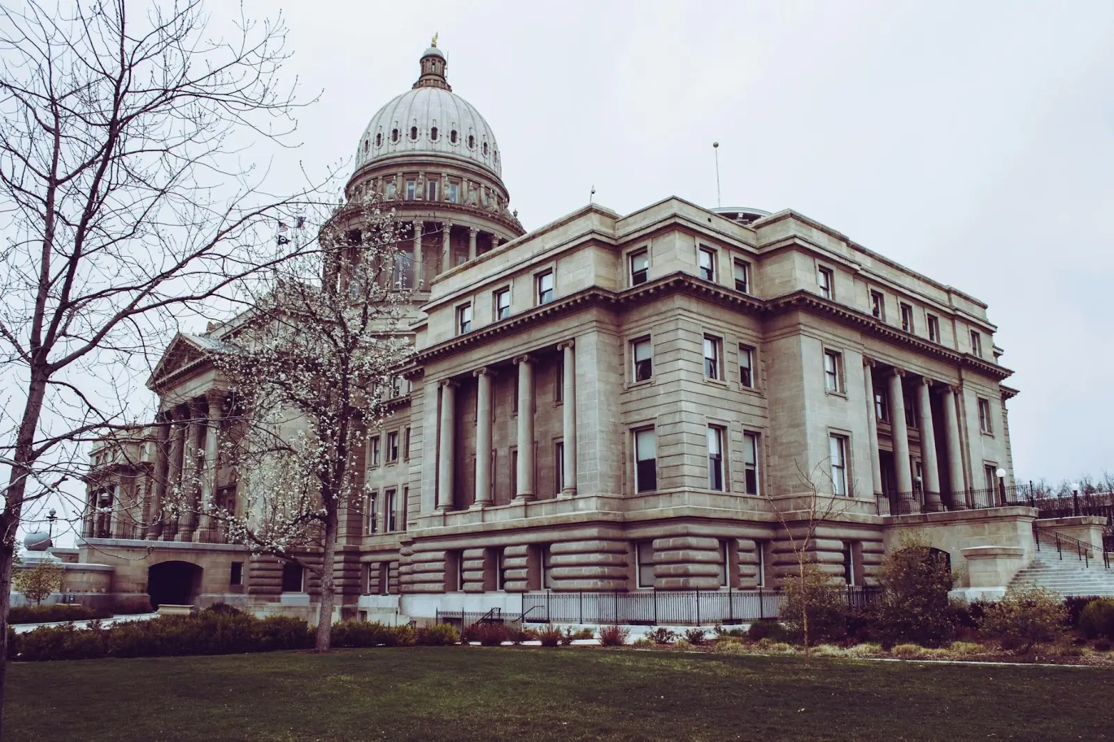what role can riot glass play in government security3