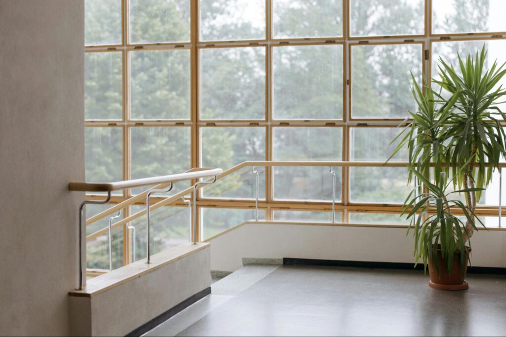 school windows 2